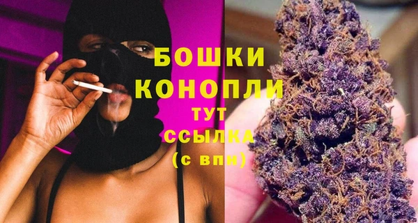 крисы Няндома