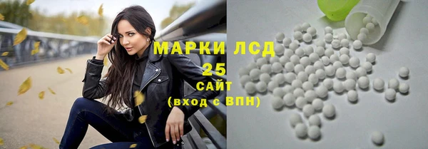 шишки Мегион