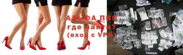 СК Тавда