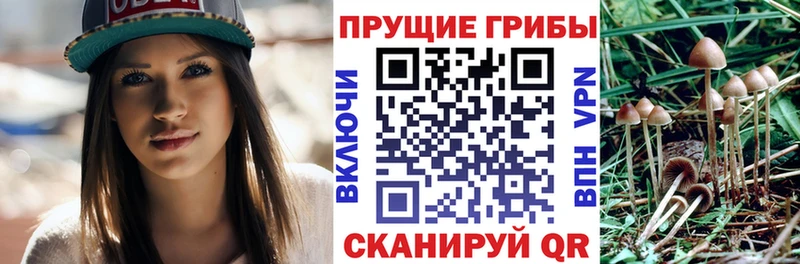 как найти закладки  Братск  blacksprut зеркало  Галлюциногенные грибы Magic Shrooms 