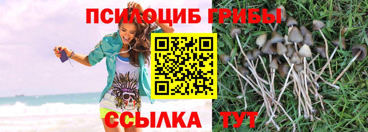 Галлюциногенные грибы Cubensis Братск