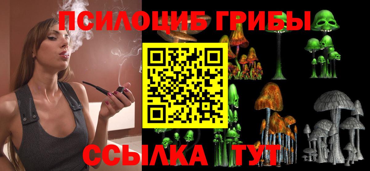 Галлюциногенные грибы Psilocybe Братск