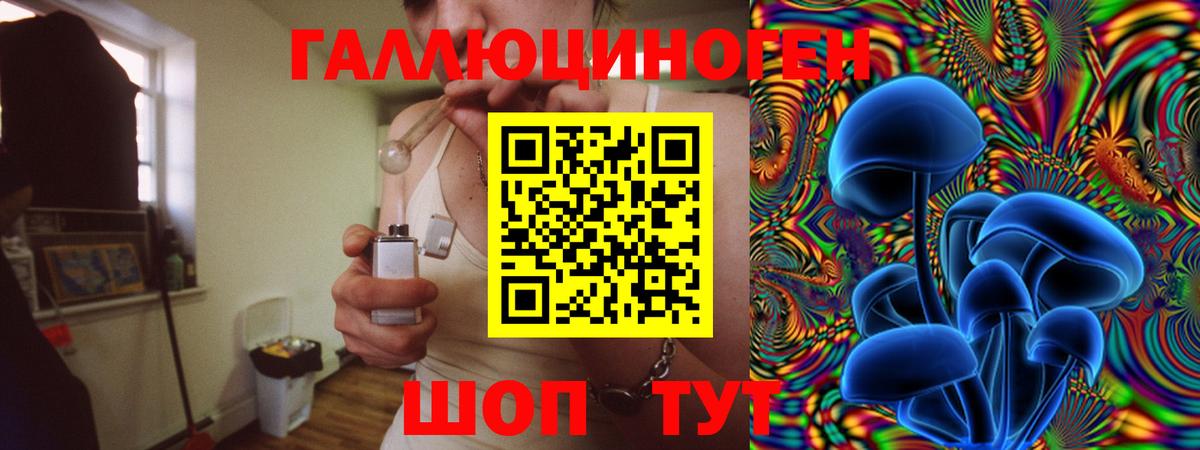 Братск  Галлюциногенные грибы прущие грибы  Вход с VPN 