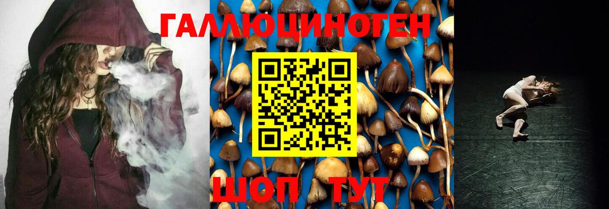 Галлюциногенные грибы мицелий  Братск 